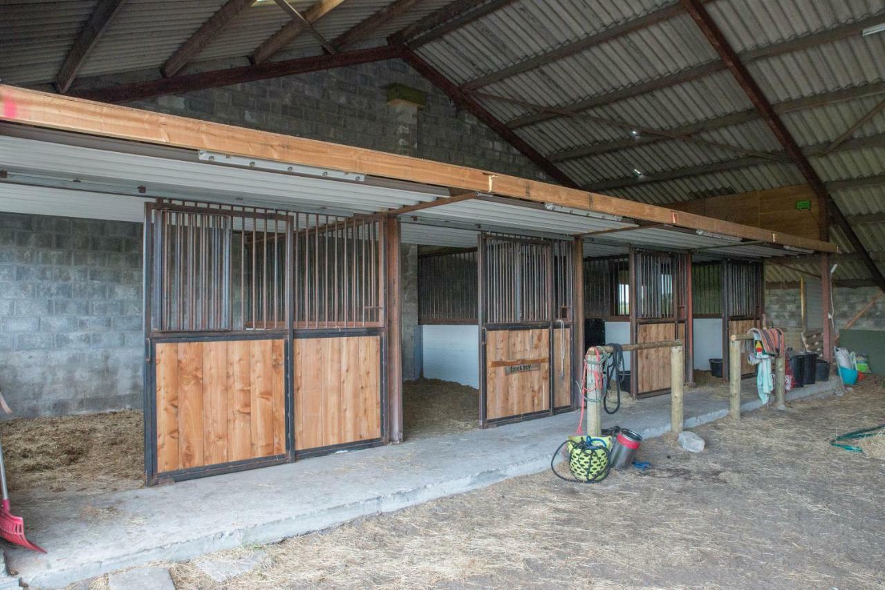 Boeren Biezen Bed Landelijk Villa Luaran gambar