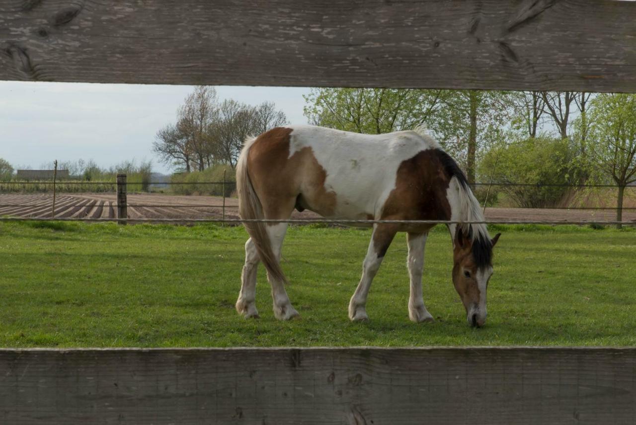 Boeren Biezen Bed Landelijk Villa Luaran gambar